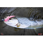 Nymfa REDBASS Nr. 1 L - 80 mm - 1 ks