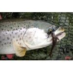 Nymfa REDBASS Nr. 1 L - 80 mm - 1 ks