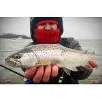 Nymfa REDBASS Nr. 1 L - 80 mm - 1 ks