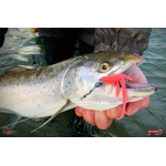 Nymfa REDBASS Nr. 1 L - 80 mm - 1 ks