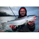 Nymfa REDBASS Nr. 1 L - 80 mm - 1 ks