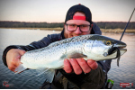 Nymfa REDBASS Nr. 1 L - 80 mm - balenie 5 ks