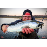 Nymfa REDBASS Nr. 1 L - 80 mm - 1 ks