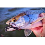 Nymfa REDBASS Nr. 1 L - 80 mm - 1 ks