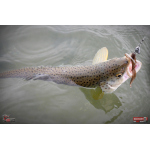 Nymfa REDBASS Nr. 1 L - 80 mm - 1 ks