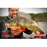 Nymfa REDBASS Nr. 1 L - 80 mm - 1 ks