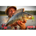 Nymfa REDBASS Nr. 1 L - 80 mm - 1 ks