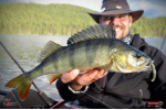 Nymfa REDBASS Nr. 1 L - 80 mm - balenie 5 ks
