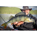 Nymfa REDBASS Nr. 1 L - 80 mm - 1 ks