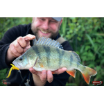 Nymfa REDBASS Nr. 1 L - 80 mm - 1 ks