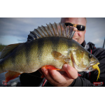 Nymfa REDBASS Nr. 1 L - 80 mm - 1 ks