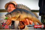 Nymfa REDBASS Nr. 1 L - 80 mm - balenie 5 ks