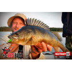 Nymfa REDBASS Nr. 1 L - 80 mm - 1 ks