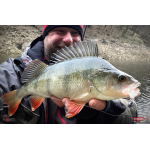 Nymfa REDBASS Nr. 1 L - 80 mm - 1 ks