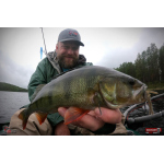 Nymfa REDBASS Nr. 1 L - 80 mm - 1 ks