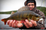 Nymfa REDBASS Nr. 1 L - 80 mm - balenie 5 ks