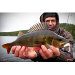 Nymfa REDBASS Nr. 1 L - 80 mm - 1 ks