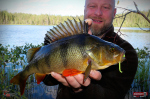 Nymfa REDBASS Nr. 1 L - 80 mm - balenie 5 ks