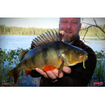 Nymfa REDBASS Nr. 1 L - 80 mm - 1 ks