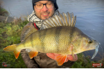 Nymfa REDBASS Nr. 1 L - 80 mm - balenie 5 ks