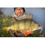 Nymfa REDBASS Nr. 1 L - 80 mm - 1 ks