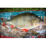 Nymfa REDBASS Nr. 1 L - 80 mm - 1 ks