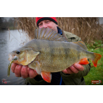 Nymfa REDBASS Nr. 1 L - 80 mm - 1 ks
