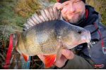 Nymfa REDBASS Nr. 1 L - 80 mm - balenie 5 ks