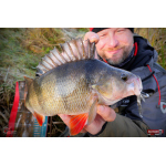 Nymfa REDBASS Nr. 1 L - 80 mm - 1 ks