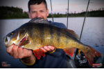 Nymfa REDBASS Nr. 1 L - 80 mm - balenie 5 ks