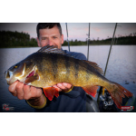 Nymfa REDBASS Nr. 1 L - 80 mm - 1 ks