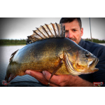Nymfa REDBASS Nr. 1 L - 80 mm - 1 ks