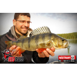 Nymfa REDBASS Nr. 1 L - 80 mm - 1 ks
