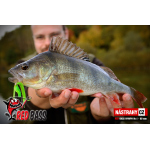 Nymfa REDBASS Nr. 1 L - 80 mm - 1 ks