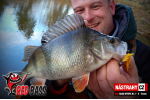Nymfa REDBASS Nr. 1 L - 80 mm - balenie 5 ks