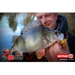Nymfa REDBASS Nr. 1 L - 80 mm - 1 ks