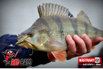 Zvýhodnená sada Streamer Marabou "Čeburaška"