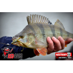 Nymfa REDBASS Nr. 1 L - 80 mm - 1 ks