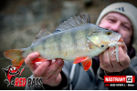 Zvýhodnená sada Streamer Marabou "Čeburaška"