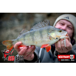 Nymfa REDBASS Nr. 1 L - 80 mm - 1 ks