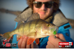 Nymfa REDBASS Nr. 1 L - 80 mm - balenie 5 ks