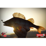 Nymfa REDBASS Nr. 1 L - 80 mm - 1 ks