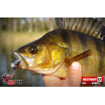 Nymfa REDBASS Nr. 1 L - 80 mm - 1 ks
