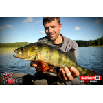 Nymfa REDBASS Nr. 1 L - 80 mm - 1 ks