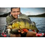 Nymfa REDBASS Nr. 1 L - 80 mm - 1 ks