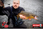 Nymfa REDBASS Nr. 1 L - 80 mm - balenie 5 ks