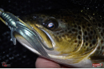 Nymfa REDBASS Nr. 1 L - 80 mm - balenie 5 ks