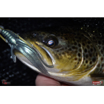 Nymfa REDBASS Nr. 1 L - 80 mm - 1 ks