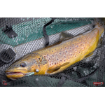 Nymfa REDBASS Nr. 1 L - 80 mm - 1 ks