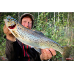 Nymfa REDBASS Nr. 1 L - 80 mm - 1 ks